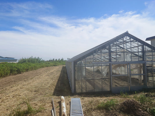 題) 苗植え準備余裕をもって順調にすすむ